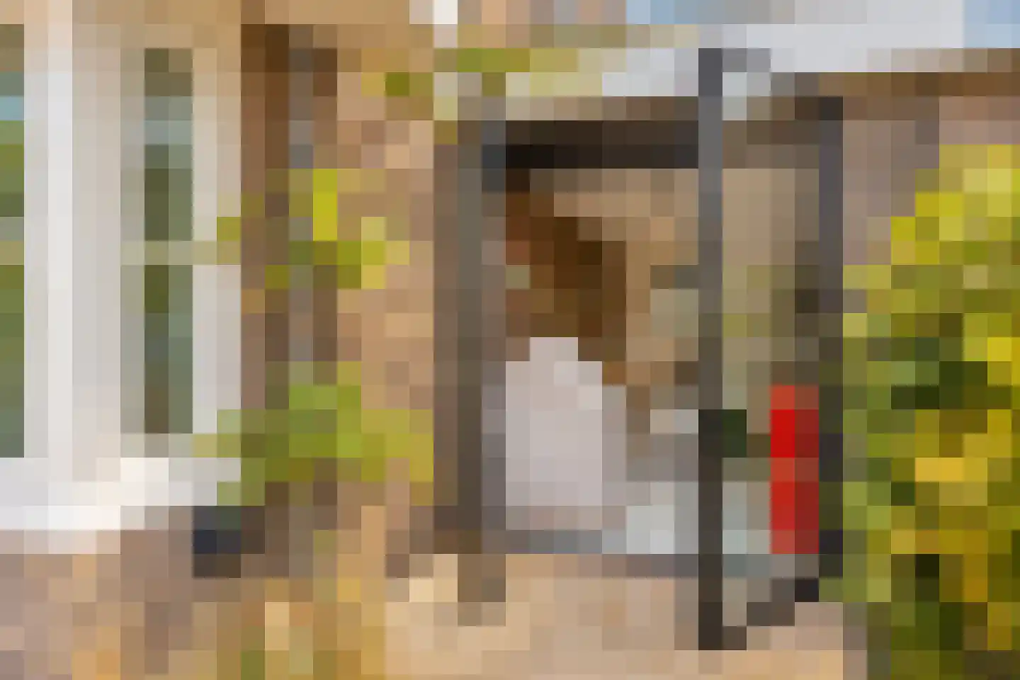 Van Miertstraat 25 Vught thumbnail 43