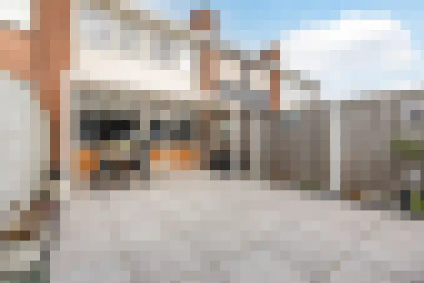 van Milstraat 5 Sas van Gent thumbnail 24