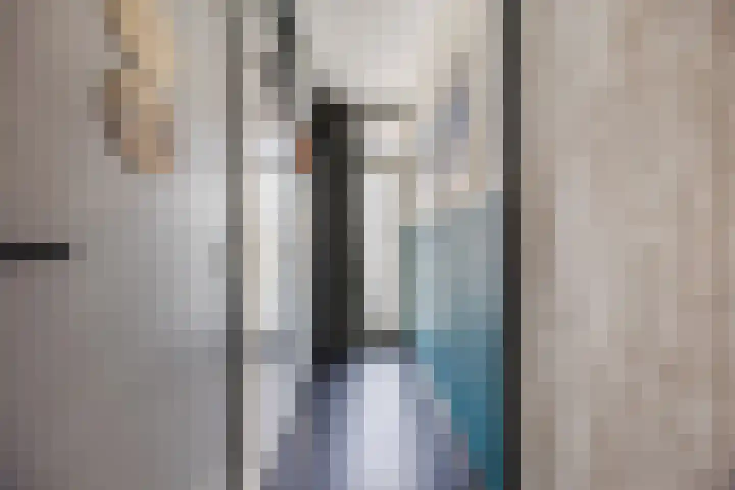 van Milstraat 5 Sas van Gent thumbnail 5