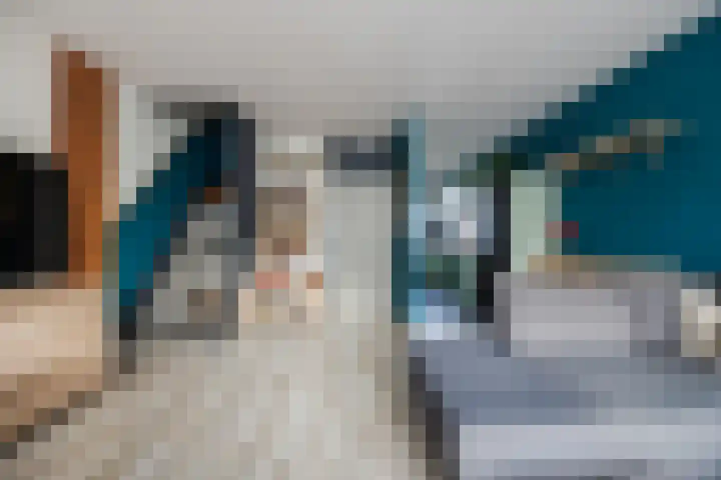 van Milstraat 5 Sas van Gent thumbnail 8