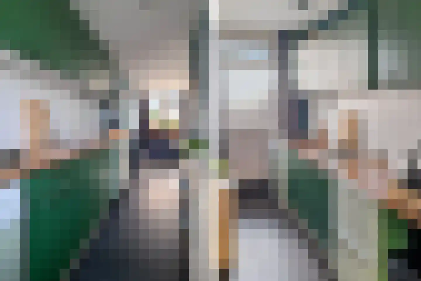 van Milstraat 5 Sas van Gent thumbnail 9
