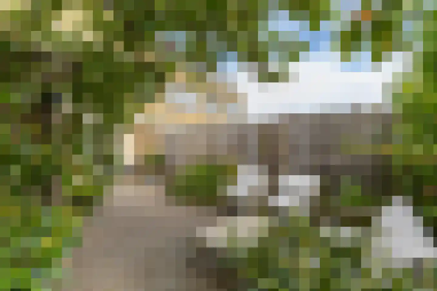 Van Moerkerkenlaan 12 Groningen thumbnail 20