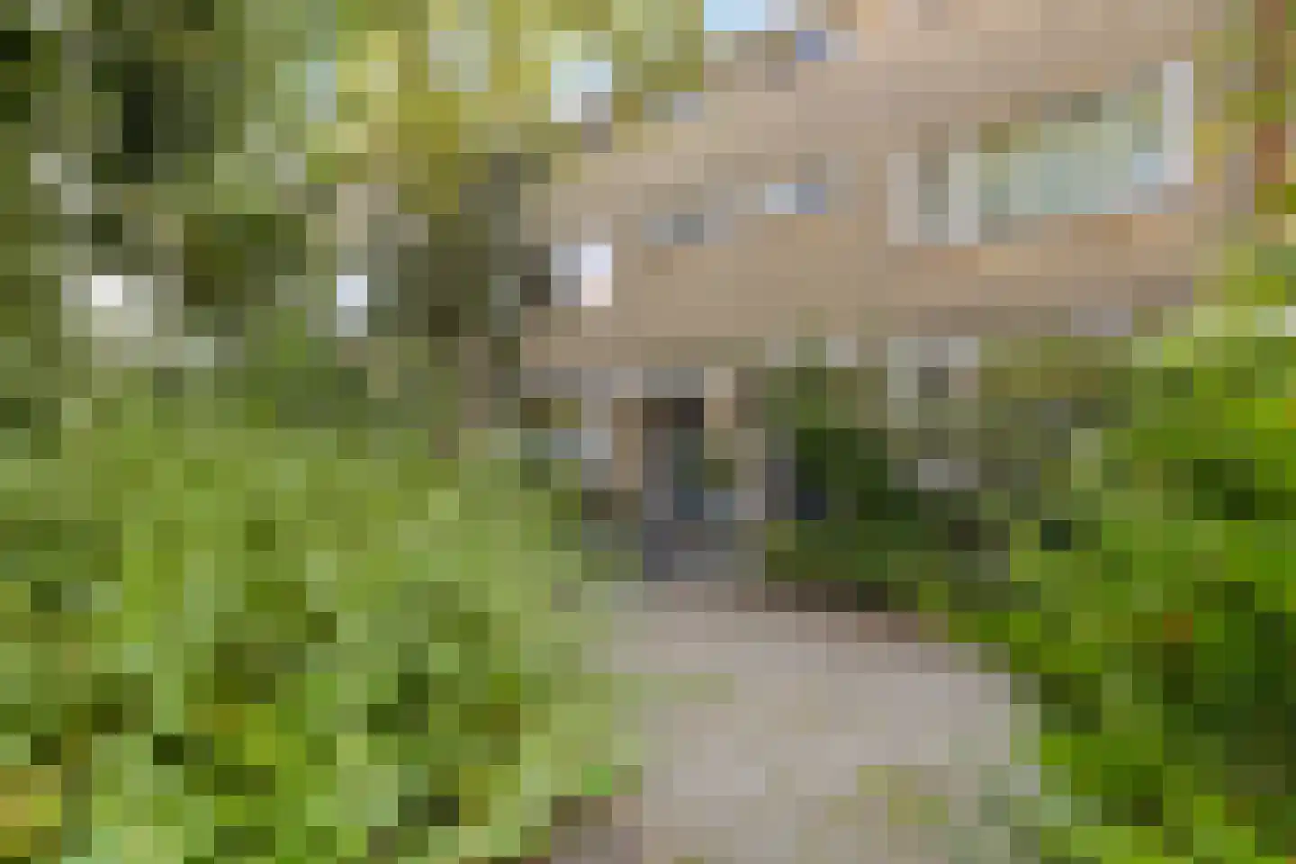 Van Moerkerkenlaan 12 Groningen thumbnail 52