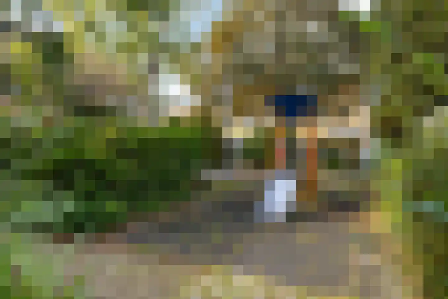 Van Moerkerkenlaan 12 Groningen thumbnail 55