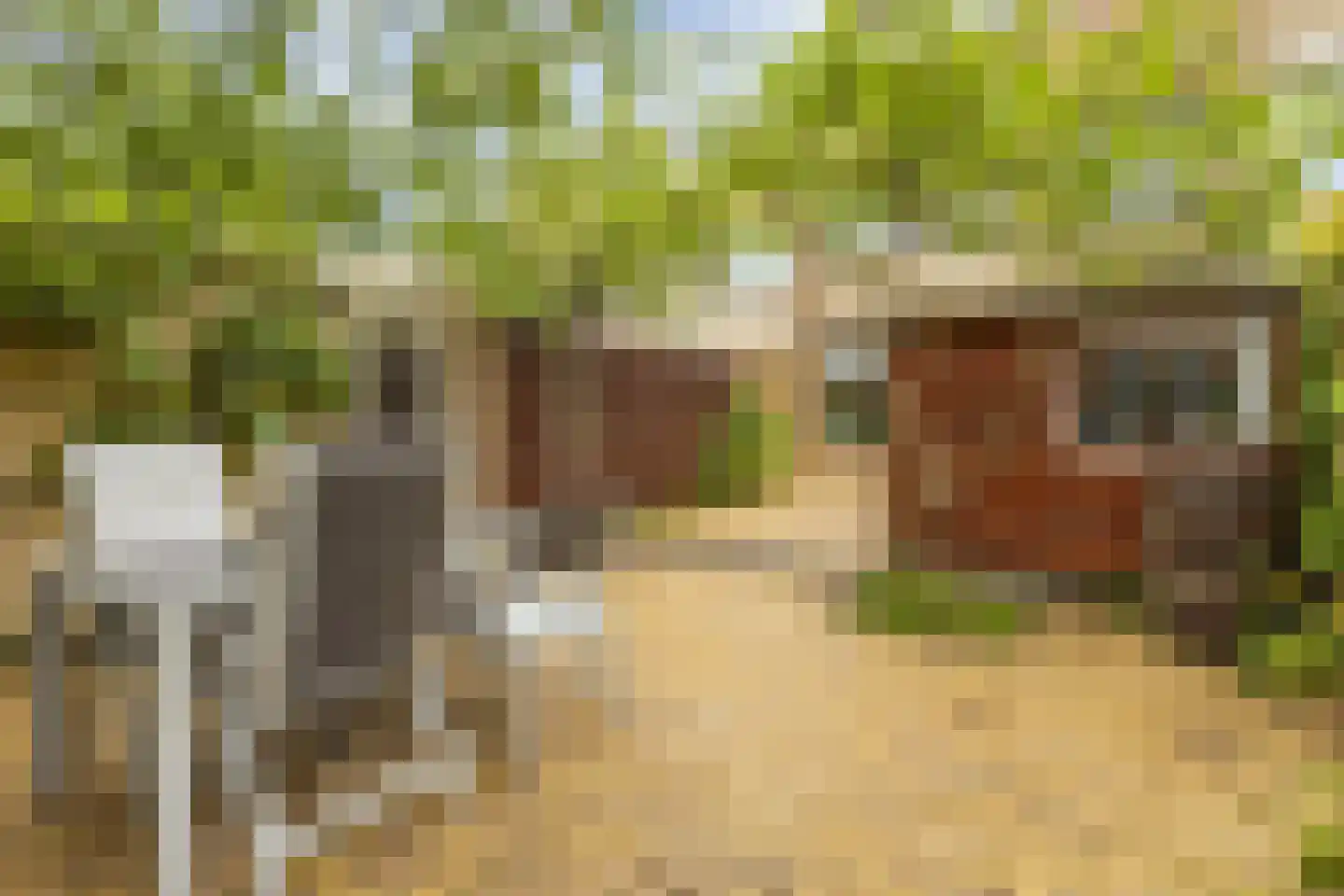 Van Moerkerkenlaan 22 Groningen thumbnail 4