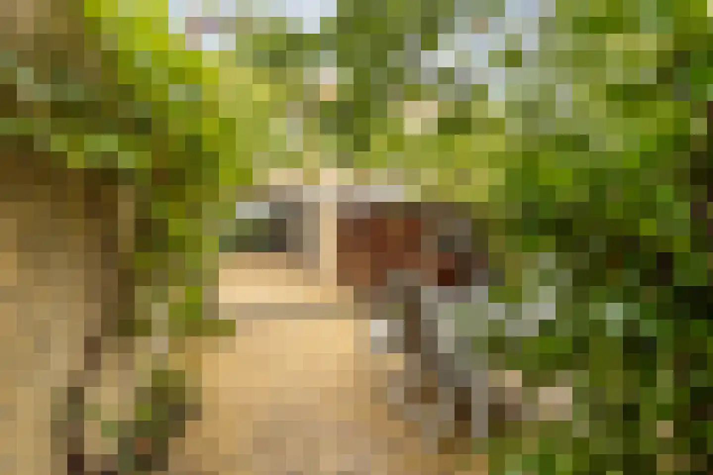 Van Moerkerkenlaan 22 Groningen thumbnail 41