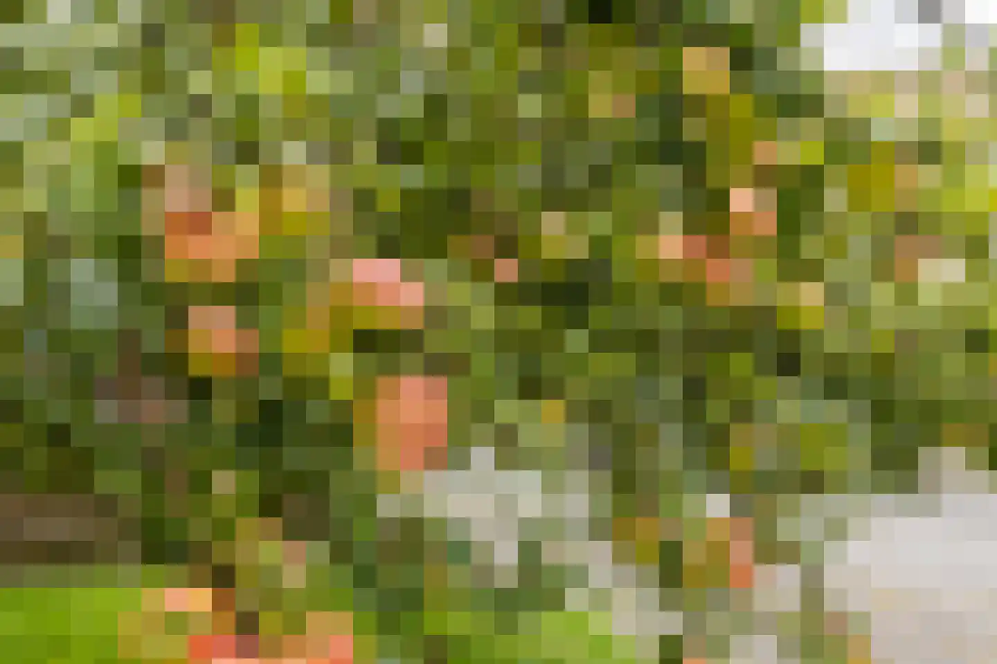 Van Moerkerkenlaan 22 Groningen thumbnail 8