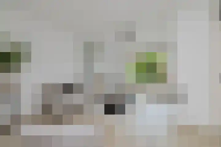 Van Moerkerkenlaan 4 Groningen thumbnail 10