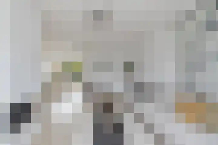 Van Moerkerkenlaan 4 Groningen thumbnail 13