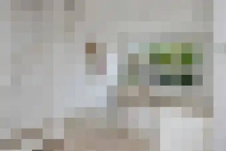 Van Moerkerkenlaan 4 Groningen thumbnail 14