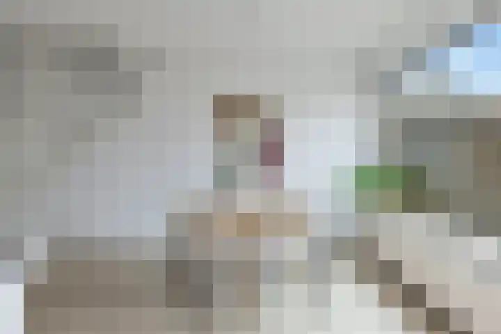 Van Moerkerkenlaan 4 Groningen thumbnail 16