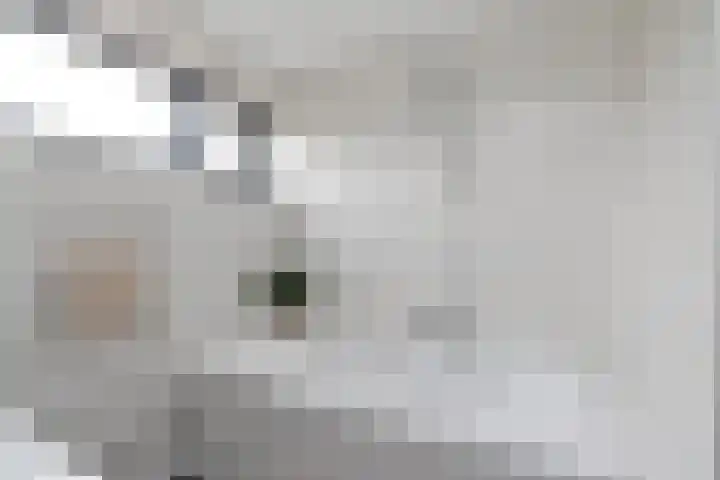Van Moerkerkenlaan 4 Groningen thumbnail 24