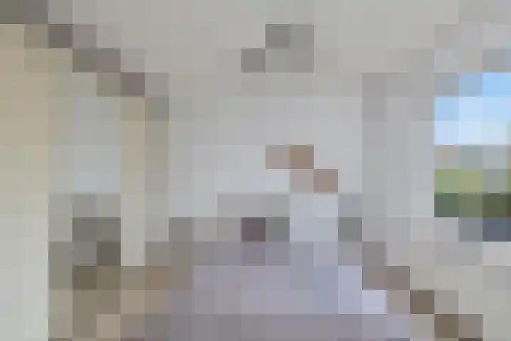 Van Moerkerkenlaan 4 Groningen thumbnail 38