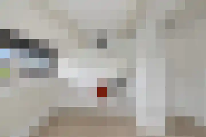 Van Moerkerkenlaan 4 Groningen thumbnail 47