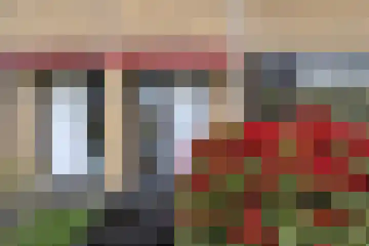 Van Moerkerkenlaan 4 Groningen thumbnail 6