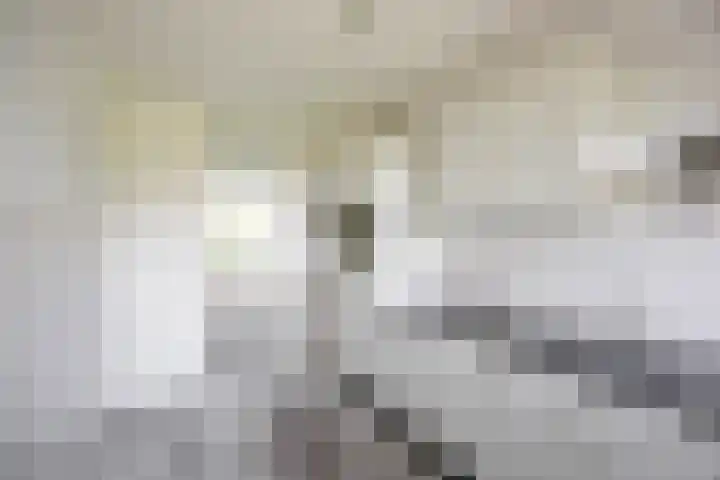 Van Moerkerkenlaan 90 Groningen thumbnail 17