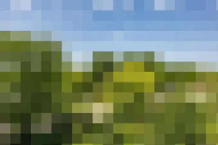 Van Moerkerkenlaan 90 Groningen thumbnail 33
