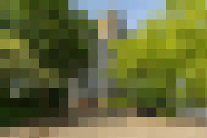 Van Moerkerkenlaan 90 Groningen thumbnail 36
