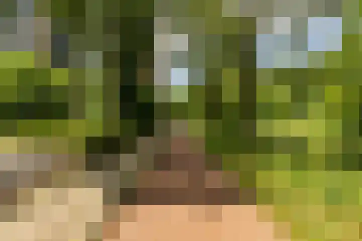 Van Moerkerkenlaan 90 Groningen thumbnail 4