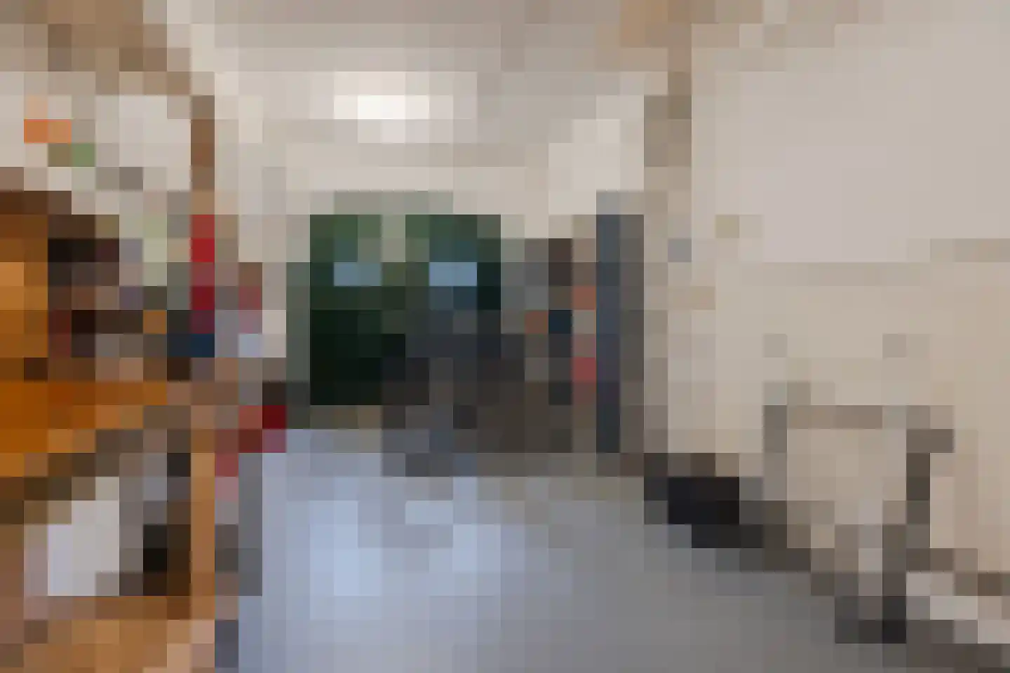 Van Moersselestraat 3 Den Haag thumbnail 24