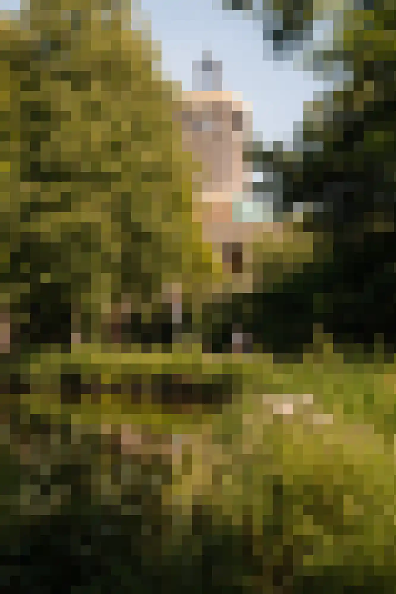 Van Montfoortlaan 26 Wassenaar thumbnail 42