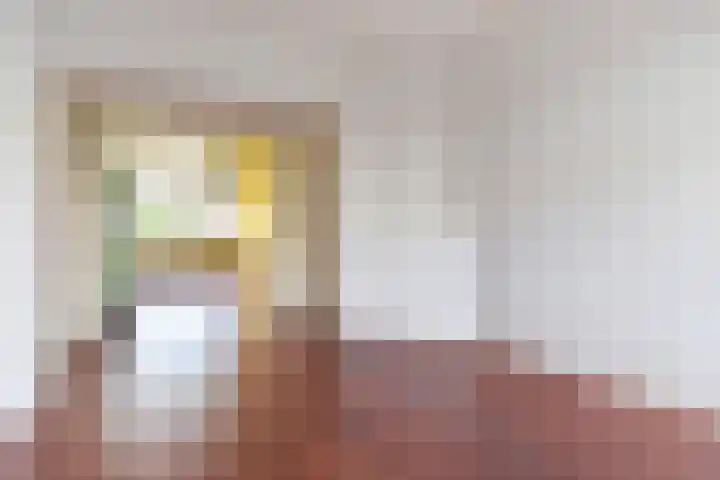 van Montfoortstraat 11 Voorburg thumbnail 20