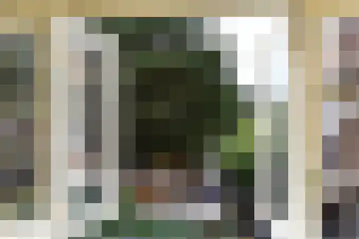 van Montfoortstraat 11 Voorburg thumbnail 26