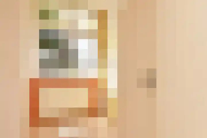 van Montfoortstraat 11 Voorburg thumbnail 36