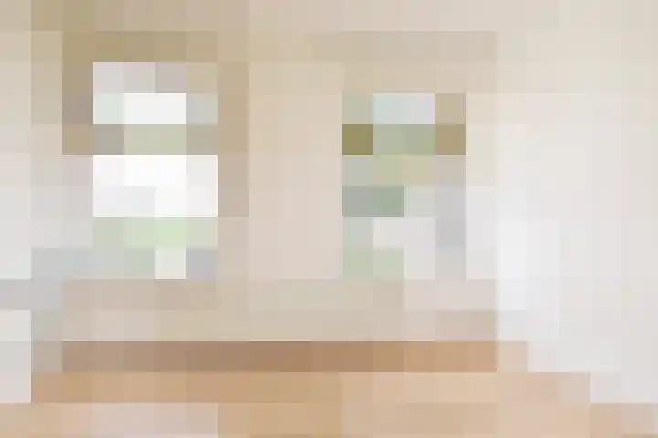 van Montfoortstraat 11 Voorburg thumbnail 5