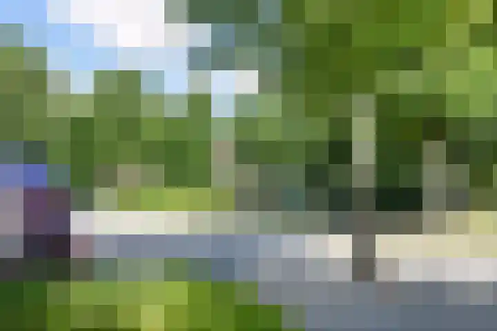 van Montfoortstraat 11 Voorburg thumbnail 8