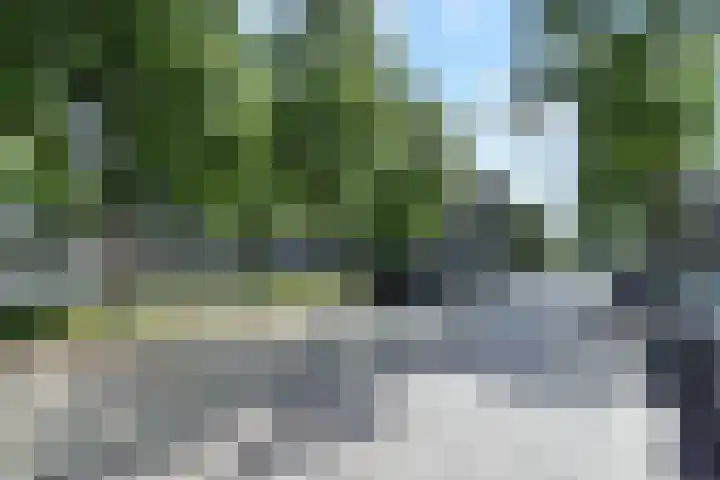van Montfoortstraat 11 Voorburg thumbnail 9