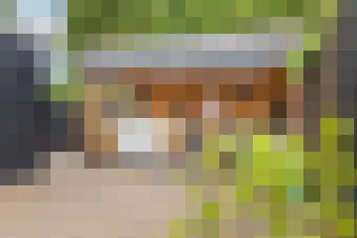 Van Montfoortstraat 2 De Meern thumbnail 13