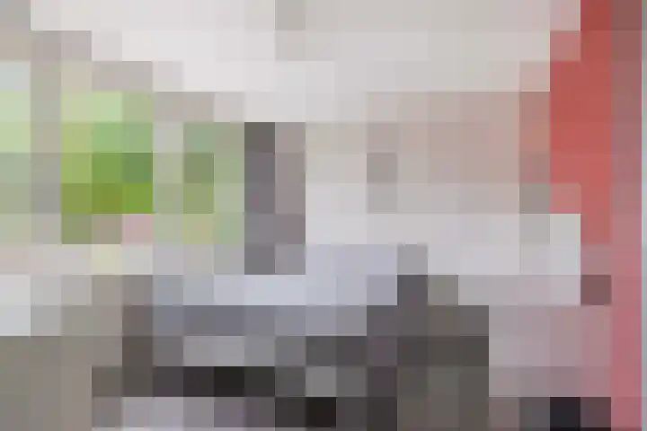 Van Montfoortstraat 2 De Meern thumbnail 23