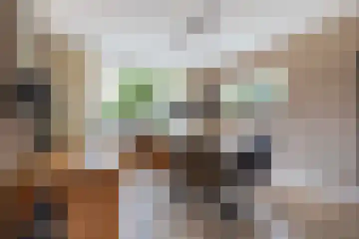 Van Montfoortstraat 2 De Meern thumbnail 8