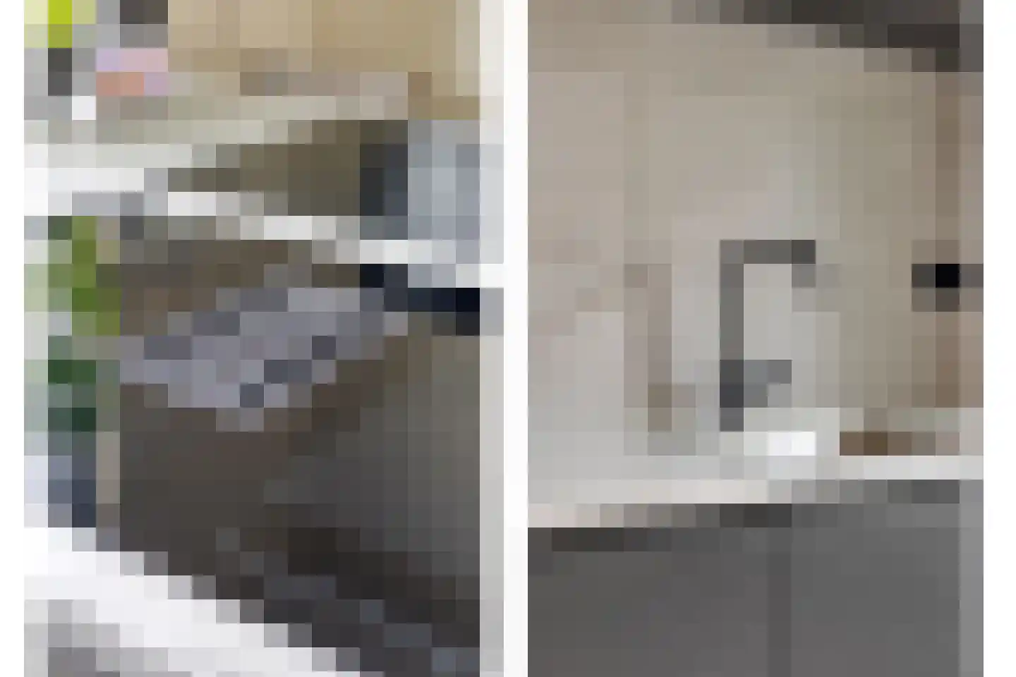 van Montfoortstraat 3 Voorburg thumbnail 12