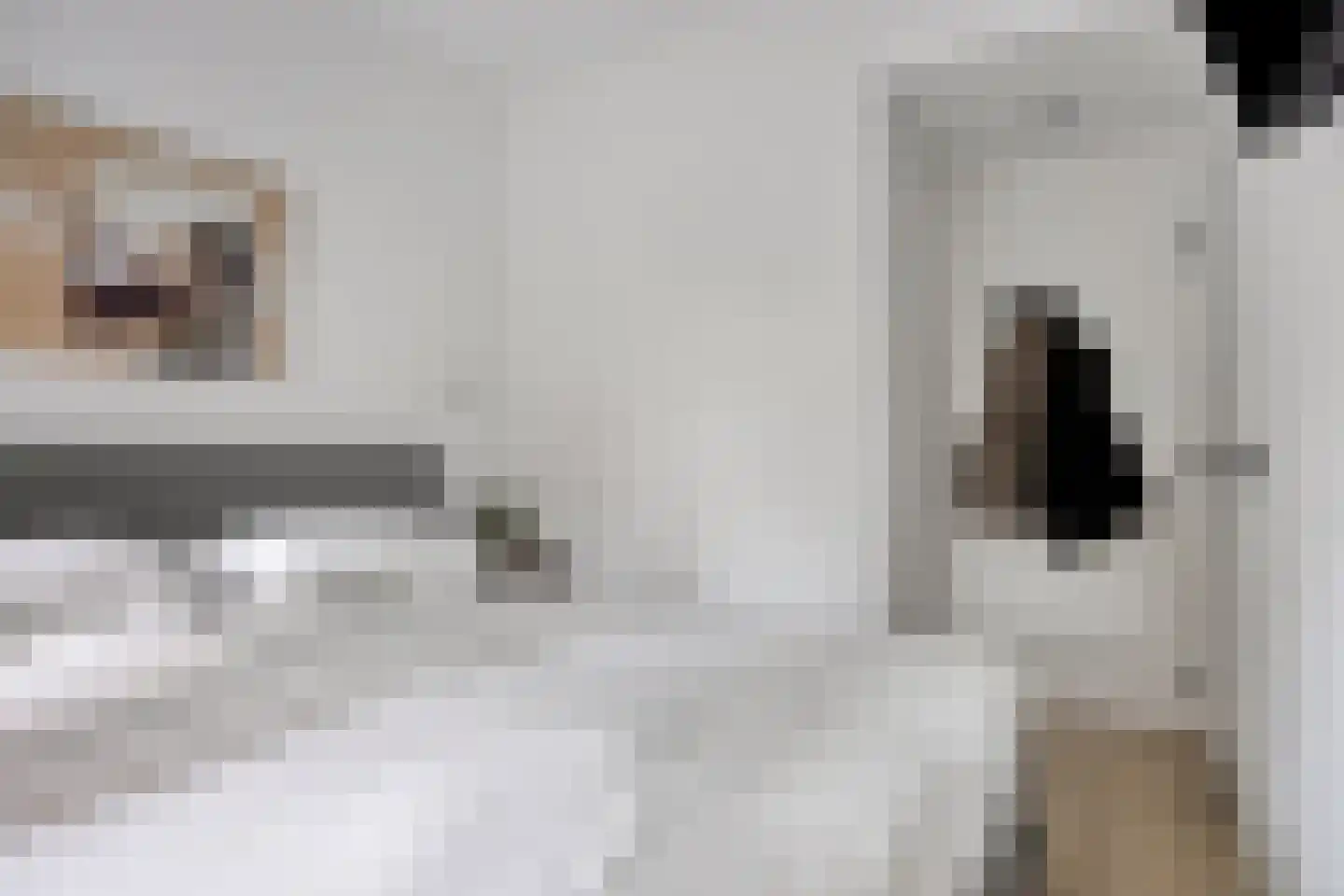 van Montfoortstraat 3 Voorburg thumbnail 16