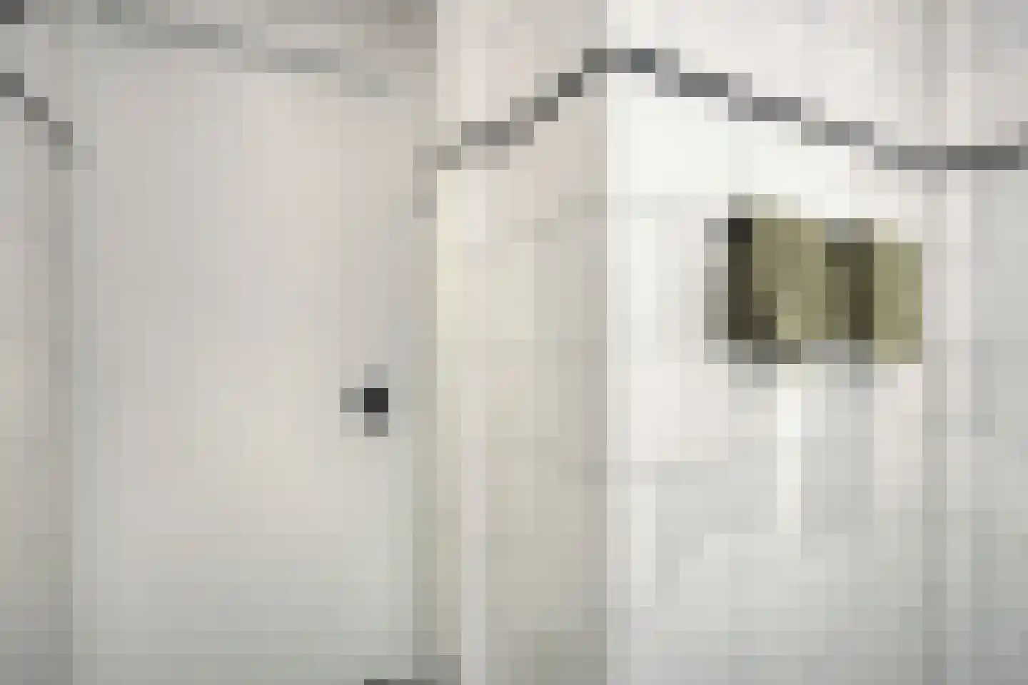 van Montfoortstraat 3 Voorburg thumbnail 18