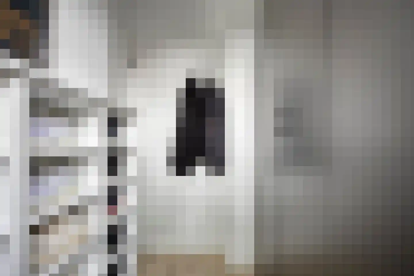van Montfoortstraat 3 Voorburg thumbnail 23