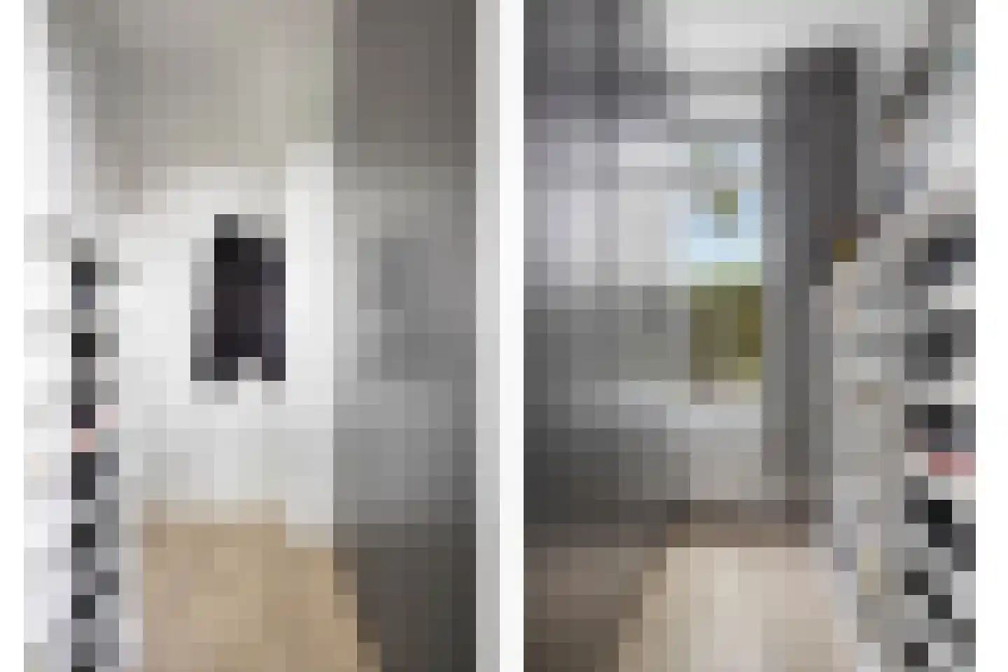 van Montfoortstraat 3 Voorburg thumbnail 24