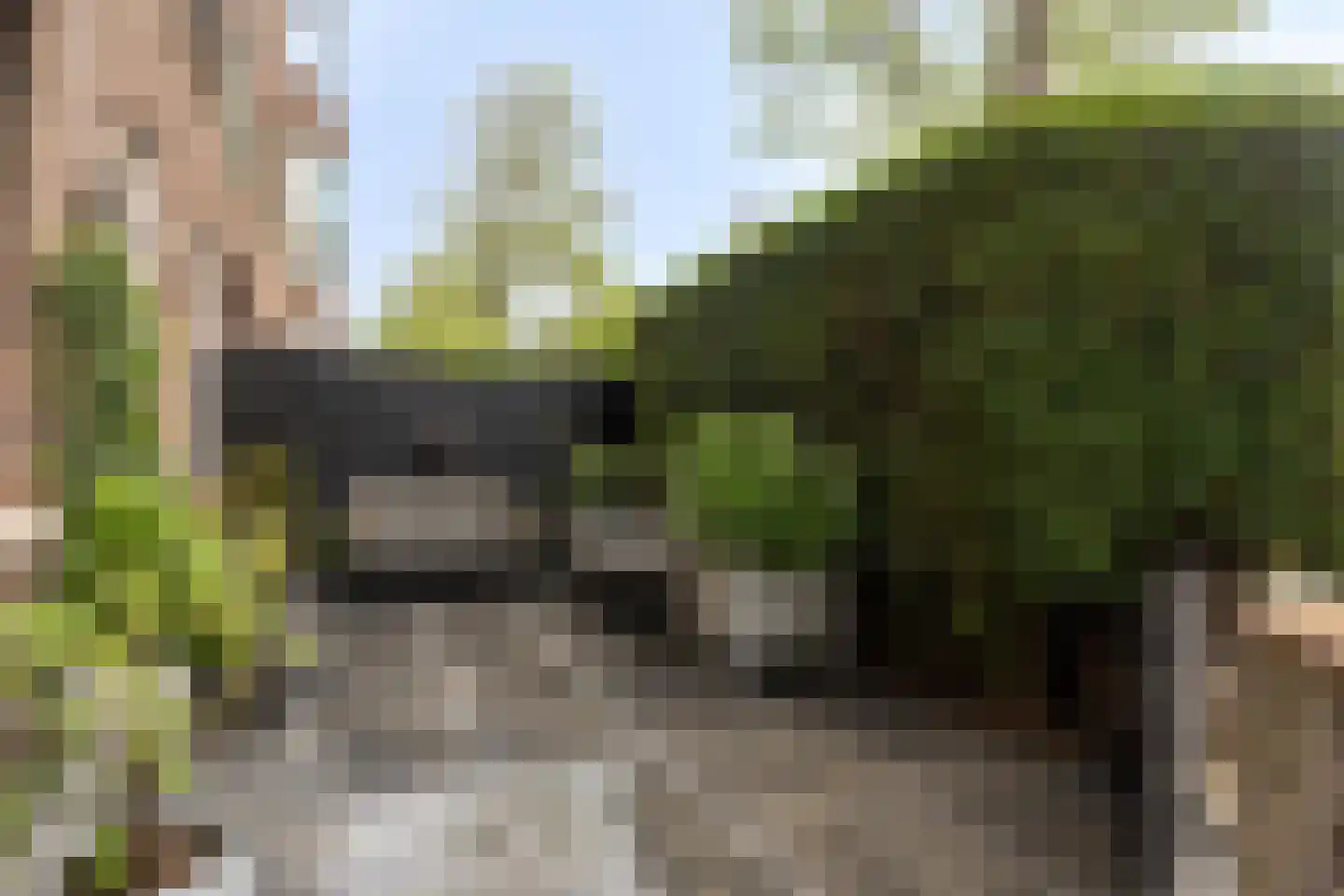 van Montfoortstraat 3 Voorburg thumbnail 5