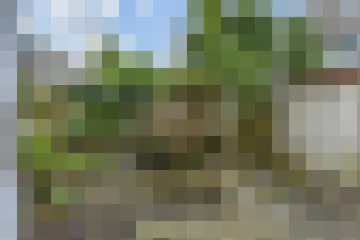 van Montfoortstraat 47 Voorburg thumbnail 27