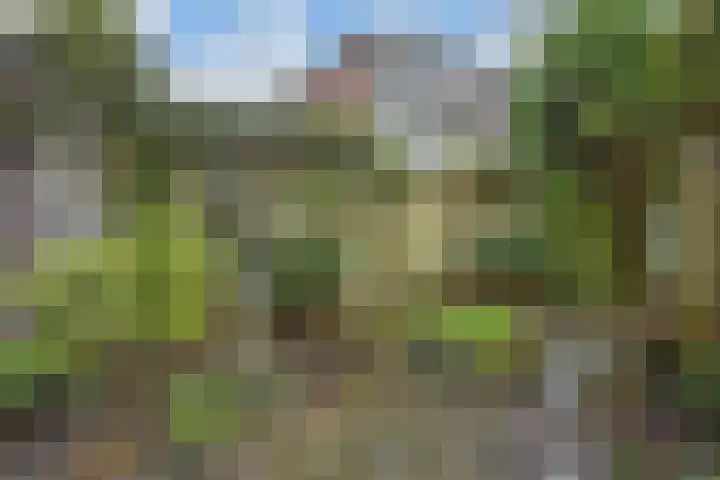 van Montfoortstraat 47 Voorburg thumbnail 28