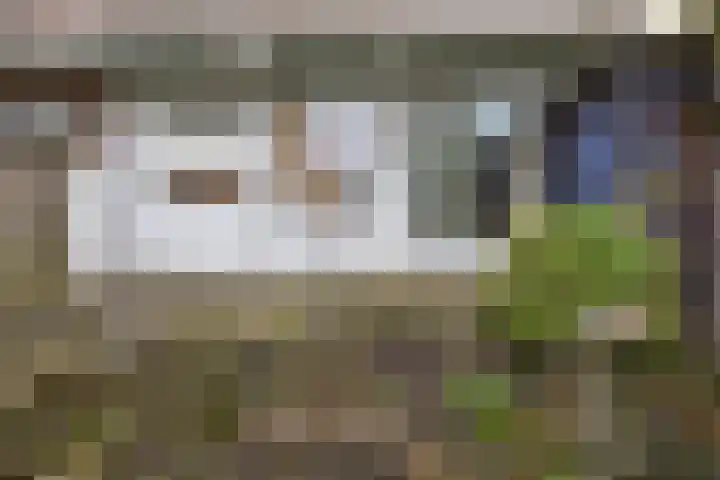 van Montfoortstraat 47 Voorburg thumbnail 30