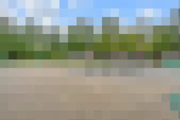 van Montfoortstraat 47 Voorburg thumbnail 37