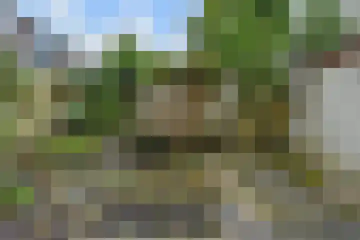 van Montfoortstraat 47 Voorburg thumbnail 4