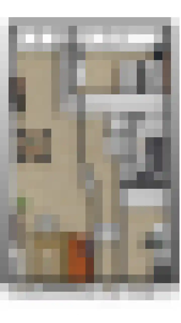 van Montfoortstraat 47 Voorburg thumbnail 44