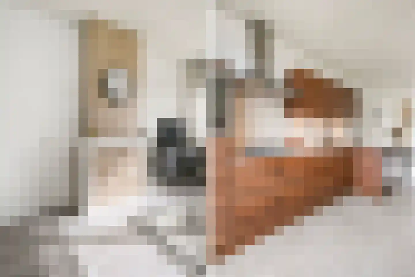 van Montfoortstraat 55 Voorburg thumbnail 10