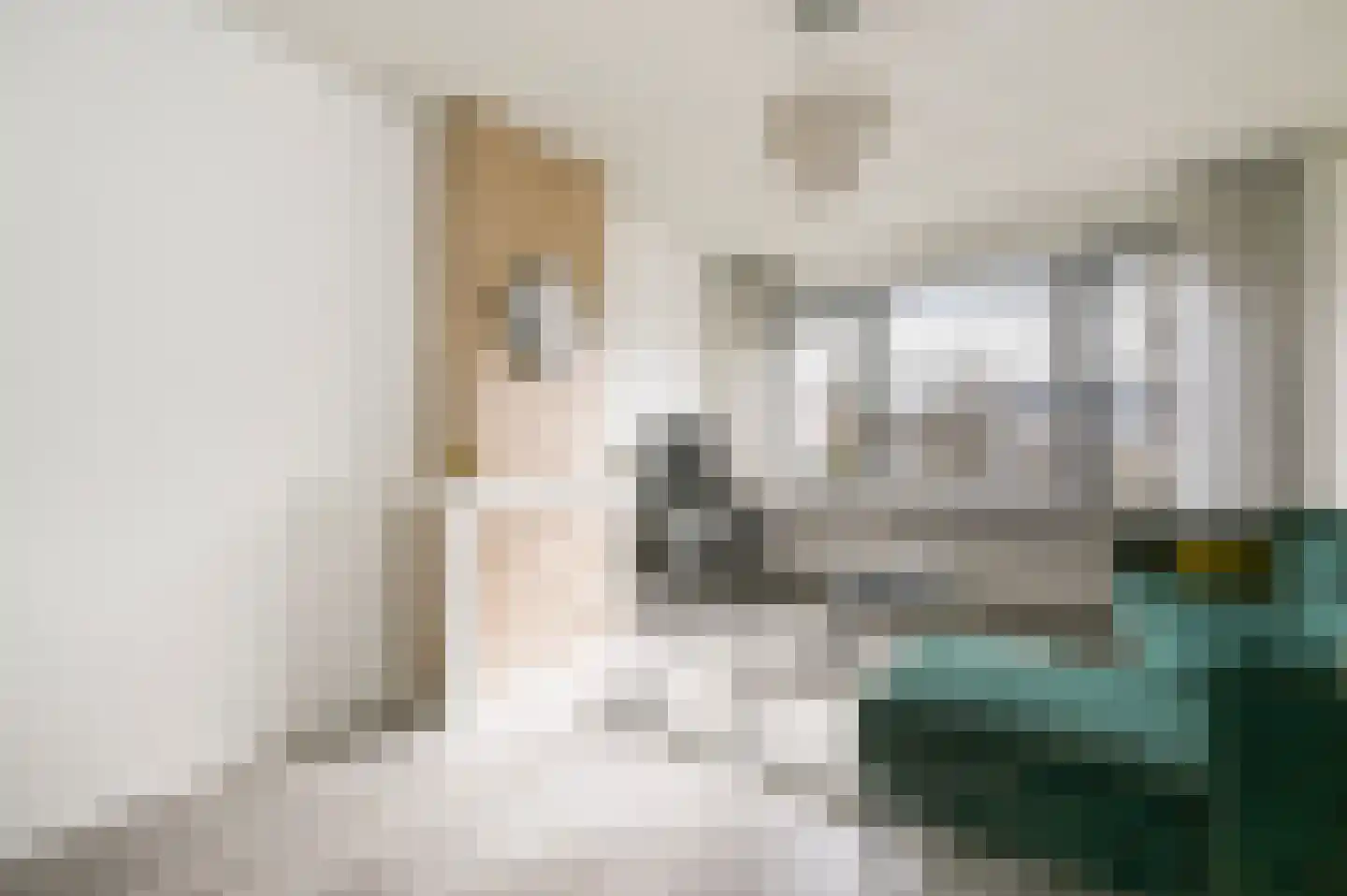 van Montfoortstraat 55 Voorburg thumbnail 11