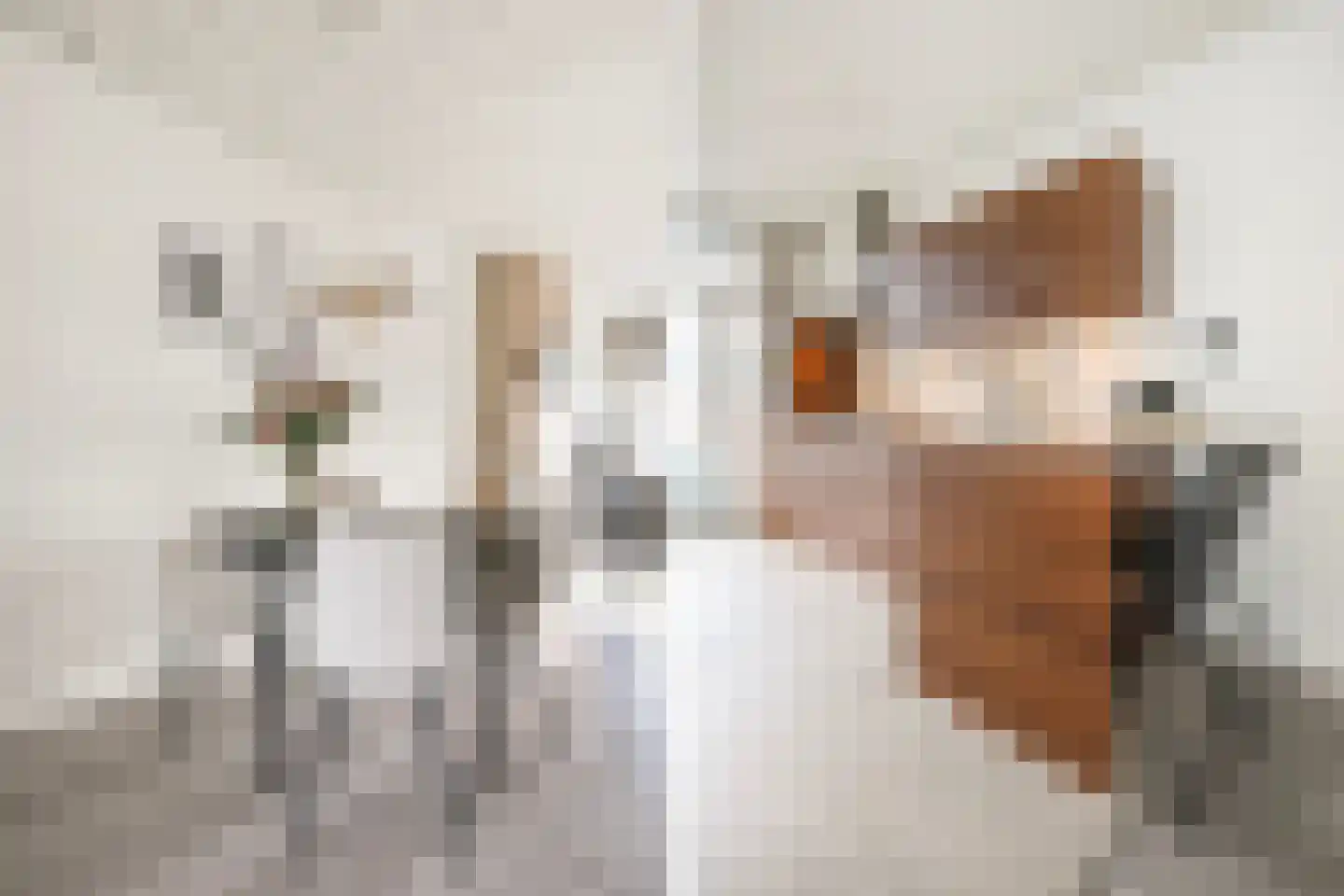 van Montfoortstraat 55 Voorburg thumbnail 17