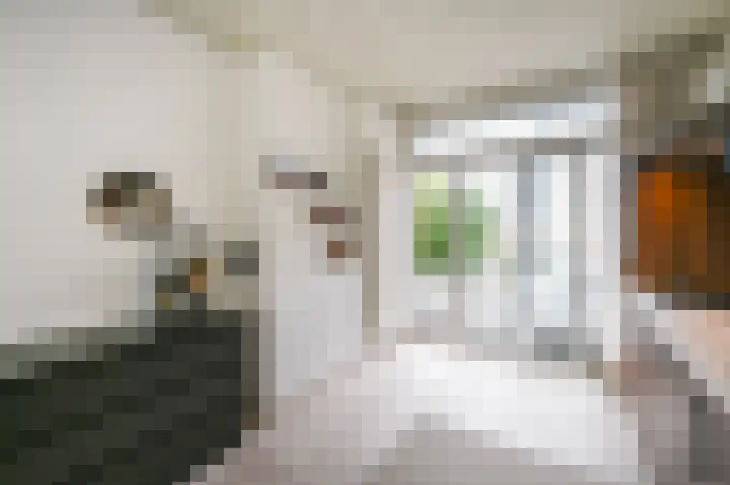 van Montfoortstraat 55 Voorburg thumbnail 18